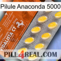 Anaconda 5000 Pill 42